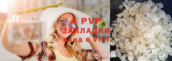 индика Арсеньев